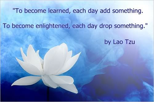 To become learned, each day add something